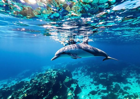 2Days Zanzibar Holiday Trip