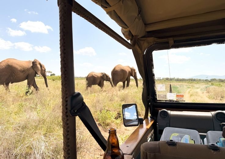 3 Days  2 Nights Ngorongoro & Serengeti Tour