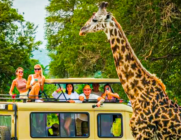 3-Days Uluguru Mountain, Choma Waterfalls , Mikumi National Park And Maasai  Village.